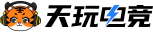 天玩电竞